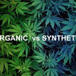 synthetic pot